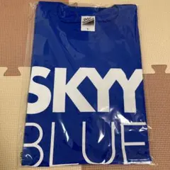 新品未使用スカイブルーTシャツサイズL