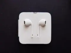 Apple EarPods with Lightning Connector
