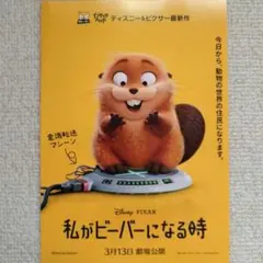 私がビーバーになる時　映画フライヤー