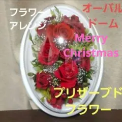 オーバルドーム　 アレンジメント クリスマス 造花無し プリザーブドフラワー