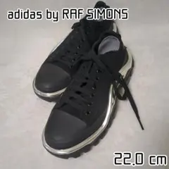 美品 RAF SIMONS×adidas 22cm デトロイトランナーのサムネイル