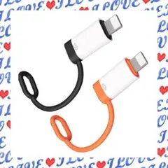 Type C ライトニング 変換アダプタ 2個セット　36W タイプc