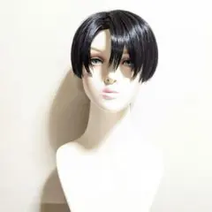 テニスの王子様 越前リョーマ コスプレウィッグ - メルカリ
