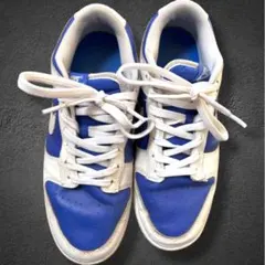 NIKE スニーカー ホワイト/ブルー