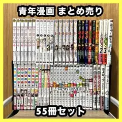 ‼️お買い得‼️ 青年漫画 不揃い 55冊セット まとめ売り 漫画 マンガ コミック