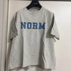PAGEBOY NORMプリント グレーTシャツ Fサイズ　ページボーイ