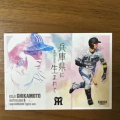 BBM阪神タイガースベースボールカード2025