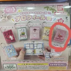 BANDAI プロフィールケース キャラクターデザイン