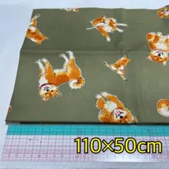 255.オックス生地＊柴犬＊110×50cm