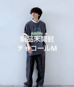 フィッシュエディ シャツ チャコール M