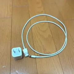 Apple純正 Lightningケーブル、電源アダプタのセット