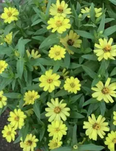 みーちゃん様 リクエスト 2点 まとめ商品