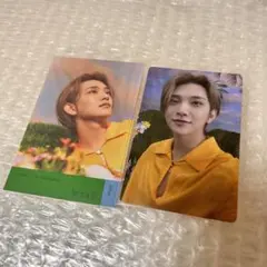 seventeen sector17 トレカ ジョシュア