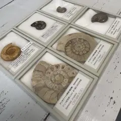 山下さん様 リクエスト 2点 まとめ商品