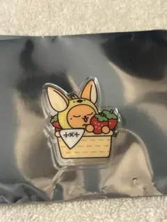 【ロジータ様専用】TXT プルバトゥ アクリルバッジ 福岡 ご当地 ヨンジュン