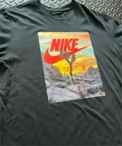NIKE ナイキ Tシャツ