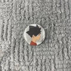 黒尾鉄朗 缶バッチ 幼少期 ハイキュー Amazon.co.jp: ハイキュー 黒尾鉄朗 缶バッジ 幼少期｜ : ホビー