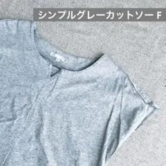 【特価】グレー 半袖 シンプルTシャツ Fサイズ