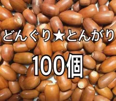 どんぐり★とんがり100個