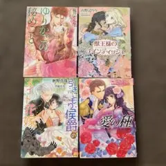 TL小説 4冊セット ②