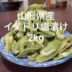 山形県産 イタドリ塩漬け　2kg(1kg×2袋) 山菜　野菜　塩蔵のサムネイル