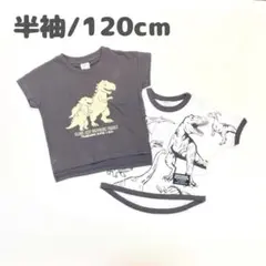 子供服 120cm 男の子 半袖Tシャツ まとめ売り 恐竜 新品 TSN63-2
