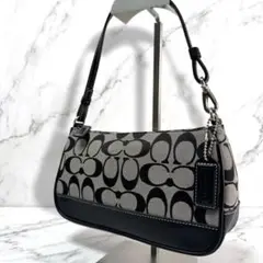 COACH Signature Accessory Pouch y2k