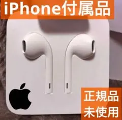 iPhone 純正イヤホン  Apple正規品 ライトニング 純正品