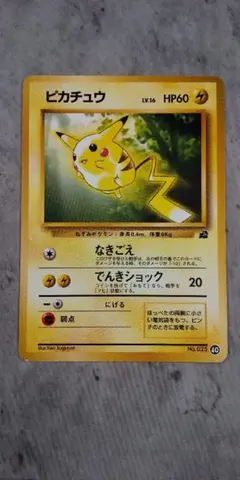 ポケモンカード ナエトル けいけんちプレゼント 001/DP-PPP 6y - メルカリ