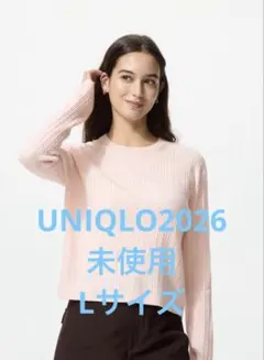 【試着のみ】UNIQLO ユニクロ ミニケーブルクルーネックセーター ニット L