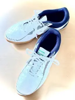 PUMA TRUFO II フットサルシューズ　27.0 106569-05