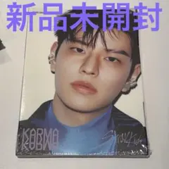 Straykids karma accordion スンミン