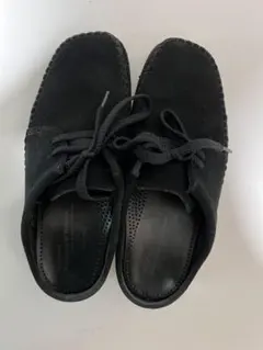 Item thumbnail for item fb3d384d-700a-42b5-ad8b-f973c9df6814