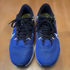 NIKEランニングシューズ　ペガサス40 26.5cm