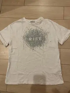 ZARA Tシャツ　ラメ　ザラ　レディース