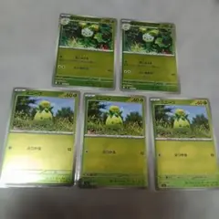 ポケモンカード　ミニーブ　オリーニョ　ミラー　スタートデッキ100　5枚セット