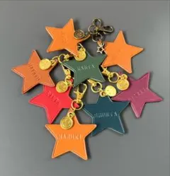 カラフル星形レザー名入れタグセット