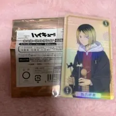 ハイキュー!! ホロカードコレクション 音駒高校 孤爪研磨
