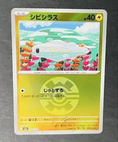 シビシラス ミラー