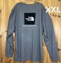 アメリカ限定 NORTH FACE ノースフェイス ロンT グレー XXL