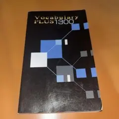 vocabulary plus 1300