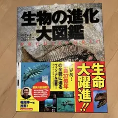 爬虫類・両生類ビジュアルガイド 5冊セット - メルカリ