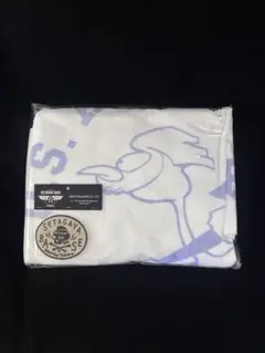 櫻坂46展 新世界 衣装エンブレムレプリカワッペン BAN - メルカリ