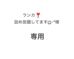 ランカ❣️詰め放題してます◡̈⃝︎⋆︎*様　専用ページ