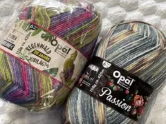 Opal 毛糸 6本撚り 150g ×２玉　Passion REGENWALD