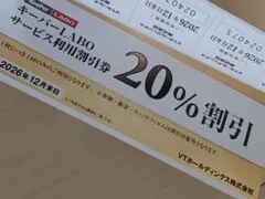 VTホールディングス 株主優待券 1冊 キーパーラボ20%割引券