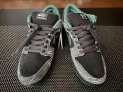 【試着のみ】Nike Dunk Low 28.5 ThereSkateboads