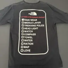 レア　ノースフェイスTシャツ　Lサイズ