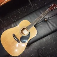 Aria ＆ co アコースティックギター　W-200 Aria ＆ co アコースティックギター W-200 【公式通販】