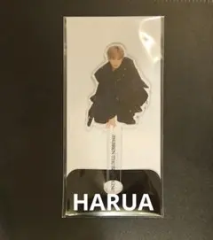 &TEAM HARUA ハルアフォトプロップス AWAKEN